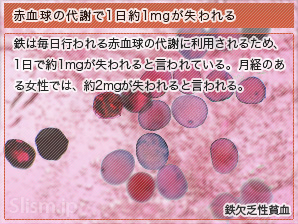 赤血球の代謝で1日約1mgが失われる