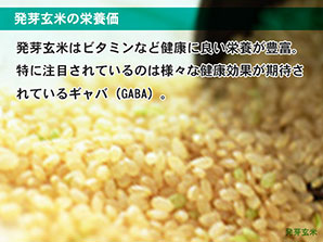 発芽玄米の栄養価
