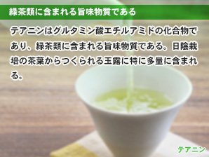 緑茶類に含まれる旨味物質である