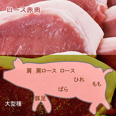 豚ロース赤肉