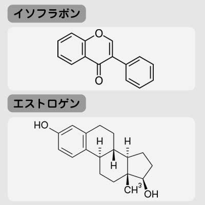イソフラボンとエストロゲンの化学式