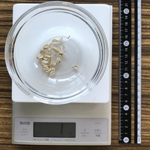 オートミール 1g