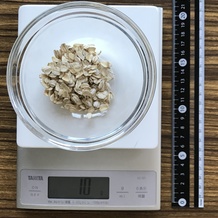 オートミール 10g