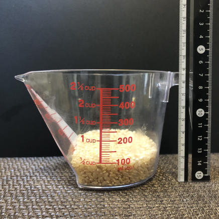 横から見た100ｇの玄米