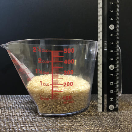 横から見た156ｇの玄米