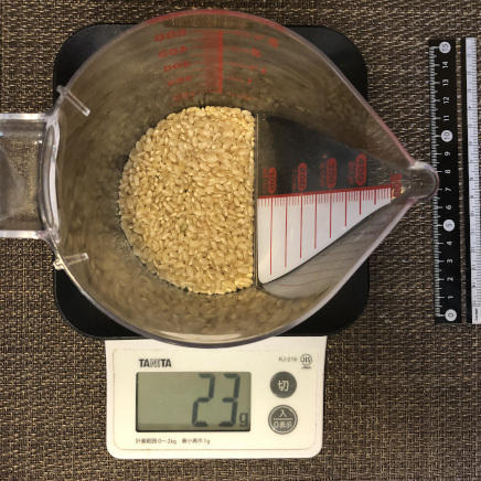 約80キロカロリー分の玄米 23g
