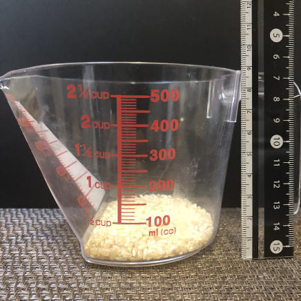 横から見た23ｇの玄米