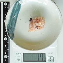 赤飯を箸で一つまみ 17g