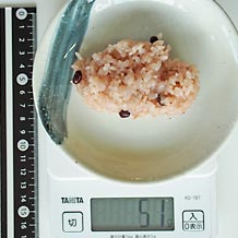 赤飯を小皿に少量 51g