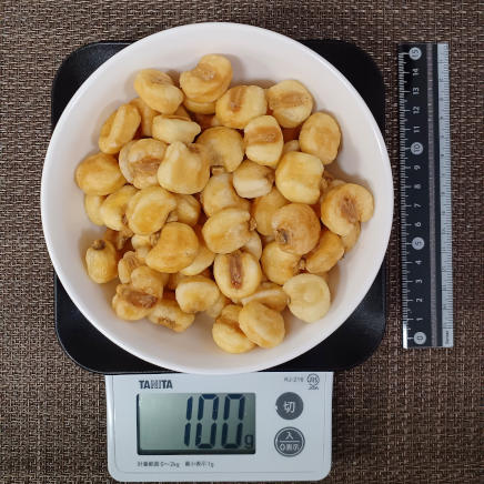 ジャイアントコーンフライ 100g