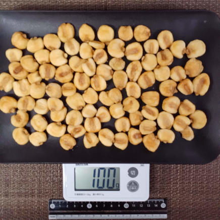 皿に広げたジャイアントコーンフライ 100g