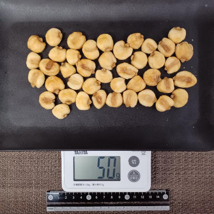 皿に広げたジャイアントコーンフライ 50g