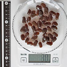 ブラックタピオカ30g