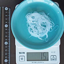 緑豆はるさめ(茹で)