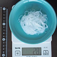 緑豆はるさめ(茹で)