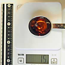 メープルシロップ 15g