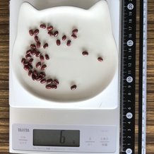 小豆（小さじ一杯） 6g