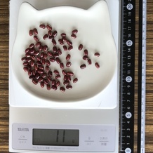 小豆 11g