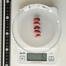 金時豆 6g