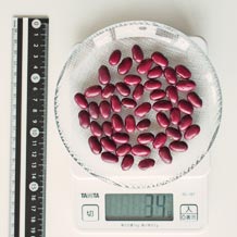 金時豆 34g