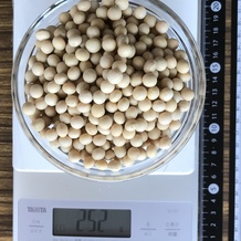 大豆 252g