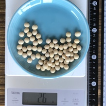 大豆 26g