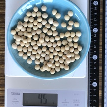 大豆 45g
