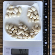 水煮大豆 49g
