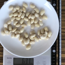 水煮大豆 63g
