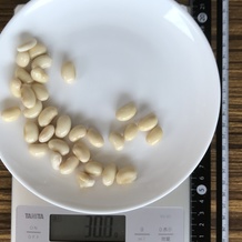 水煮大豆 31g