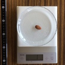 1粒分のアーモンド