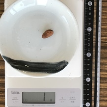 アーモンドナッツ1粒 1g