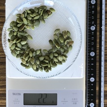 かぼちゃの種 22g