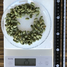 かぼちゃの種 25g