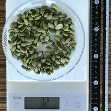 かぼちゃの種 32g