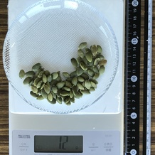 かぼちゃの種 12g