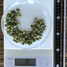 かぼちゃの種 18g