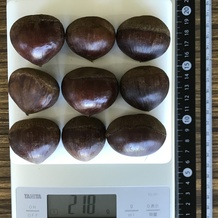 栗 218g