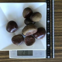 栗 218g