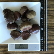 栗 283g