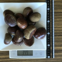 栗 349g