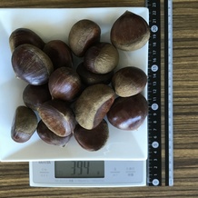 栗 394g