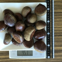 栗 451g
