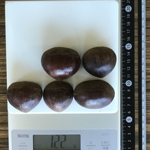 栗 122g