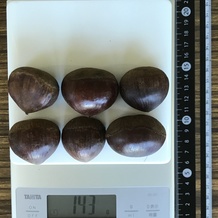 栗 143g
