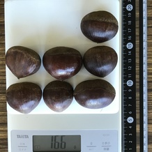 栗 166g