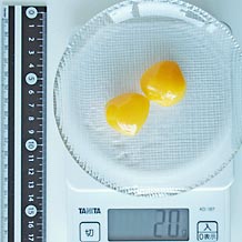栗の甘露煮2個 20g