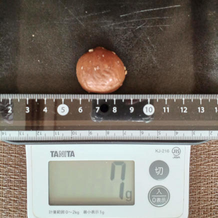 1粒の甘栗 7g
