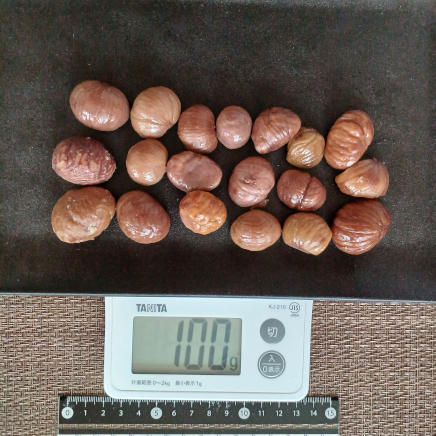 100ｇの甘栗 100g