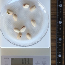 ～10g分（9個）の殻付きピスタチオ